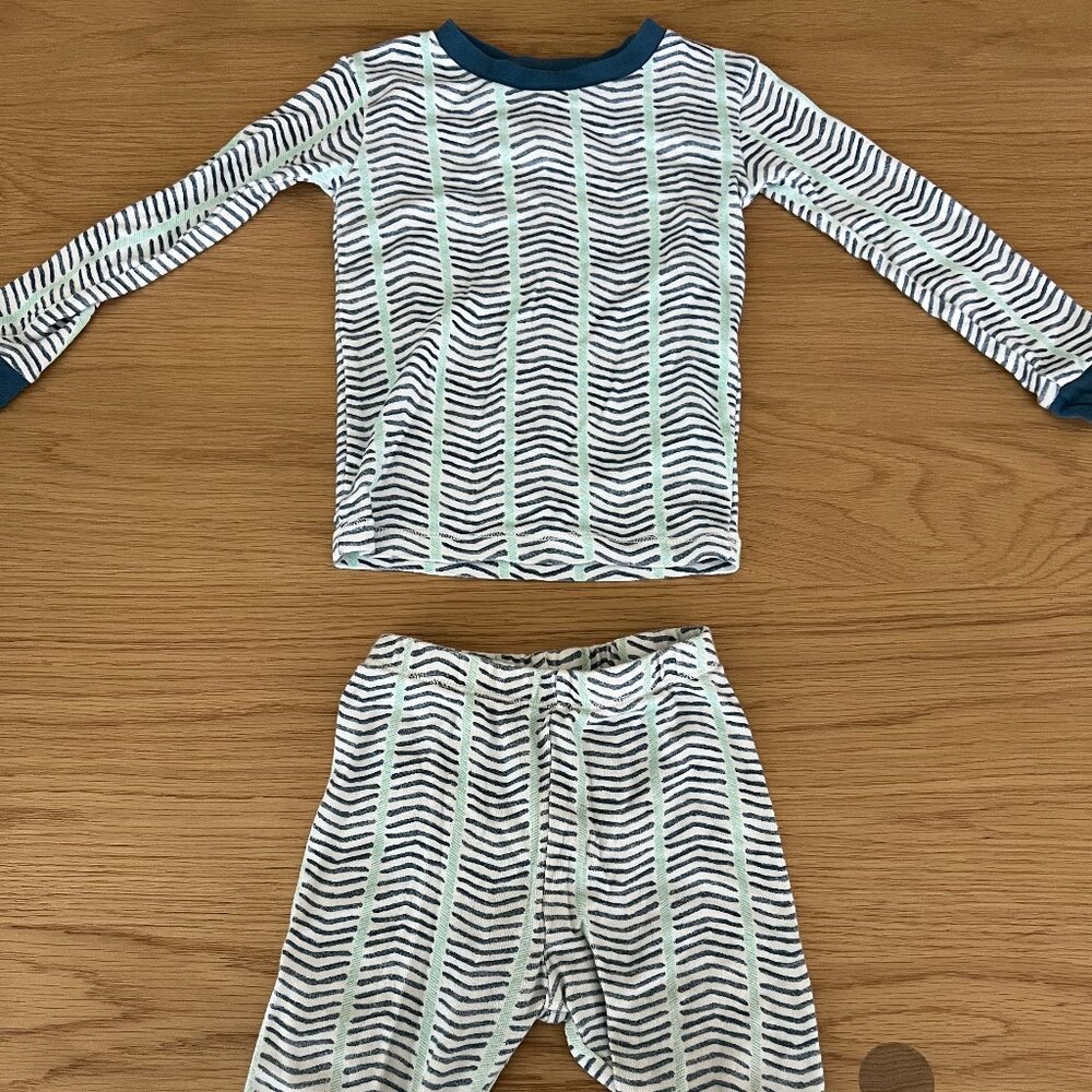 Burt's Bees two piece pajama set 2T